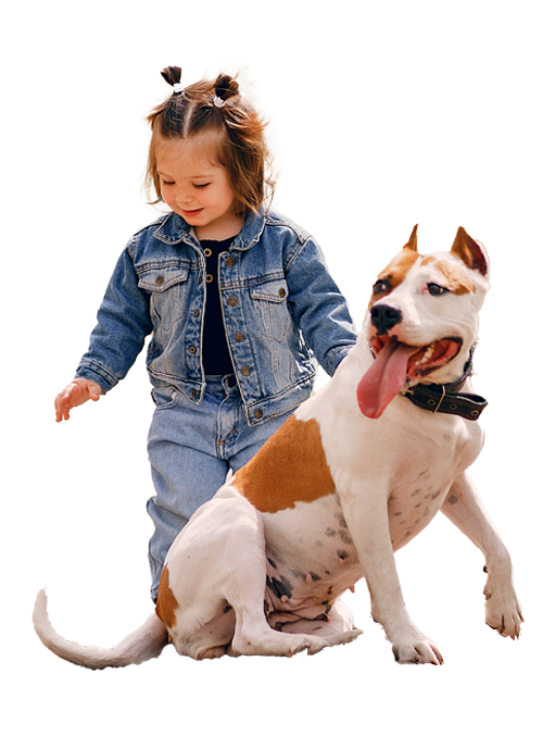 Enfant souriante et grand chien blanc chez toutousdoux à Castelsarrasin lors d'une promenade printanière