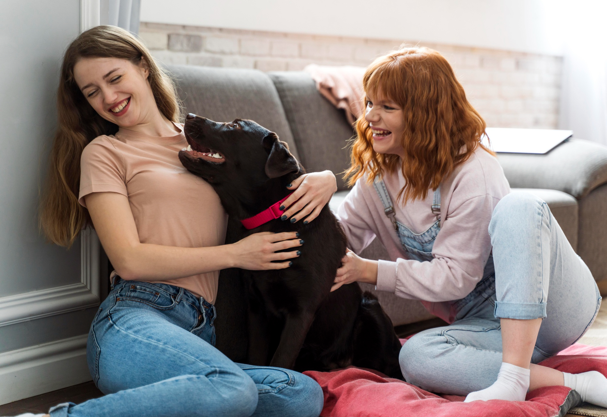 Deux jeunes femmes jouent avec un chien noir chez toutousdoux dans un salon cosy à Castelsarrasin